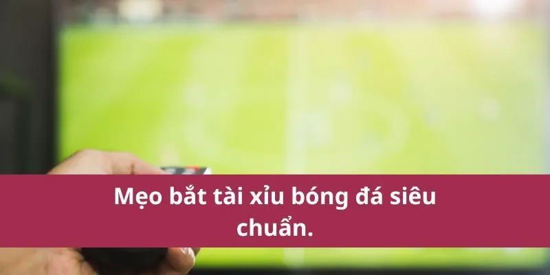 Tài Xỉu Bóng Đá - Bí Mật Cá Cược Giúp Bạn Thắng Lớn? 3 tài xỉu bóng đá